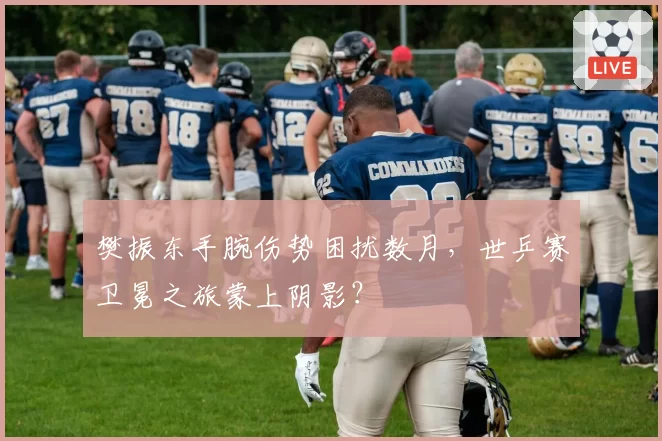 樊振东手腕伤势困扰数月,世乒赛卫冕之旅蒙上阴影?