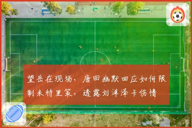 望岳在现场，唐田幽默回应如何限制米特里策，透露刘洋泽卡伤情