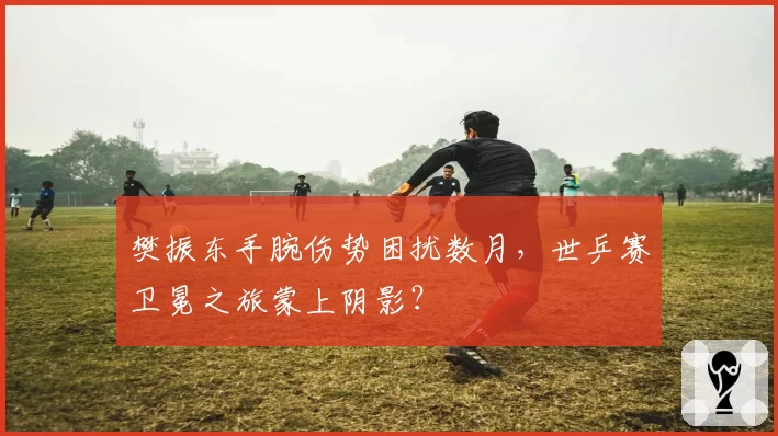 樊振东手腕伤势困扰数月，世乒赛卫冕之旅蒙上阴影？